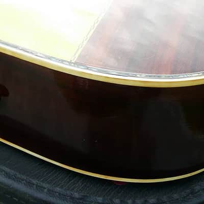 Hillbilly by Suzuki W-40 Brazilian Rosewood 1970's Natural BARGAIN image 17