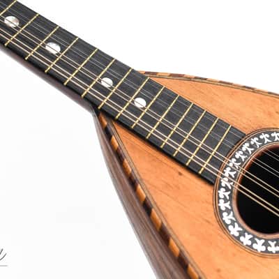 Luigi Fenga Bowlback Mandolin ca. 1920 image 9