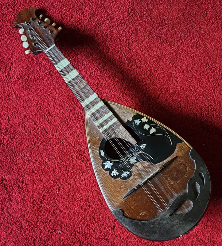 CATANIA SILVESTRI Sicilian concert mandolin with modern fretboard  1900s image 1