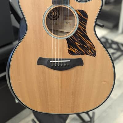 Taylor 50th Anniversary Builder's Edition 314ce LTD 2024 - Natural image 1