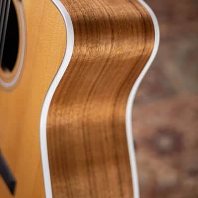 Taylor 214ce-N Nylon Grand Auditorium Acoustic/Electric Guitar with Gig Bag - Factory Demo image 12