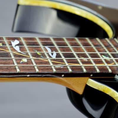 VIDEO- IBANEZ Steve VAI JEM77V-01 2007 - Black - "Sustainer" - MIDI - Japan import image 13