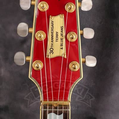 Fender Japan Terry-1 ANNIVERSARY Mod image 4