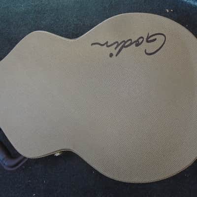 Godin Connaisseur MJ RW Black w/hard case , sf image 8