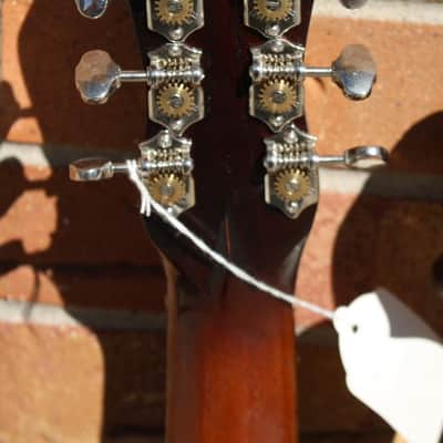 1895 Joseph Bohmann Harp Guitar 6/12 image 15