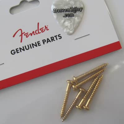 Fender Gold Stratocaster Tremolo Mounting Screws set of 6 USA 0018787049 image 1