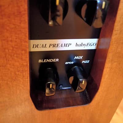 Alter Ego BASSO, hollow-body upright bass image 21