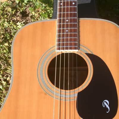 1971 Pearl PF-770 by Hayashi Gakki Natural image 19