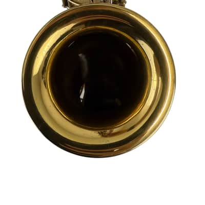 Conn Gold Plated New Wonder 8m C Melody Saxophone w/PORTRAIT EXTRA ENGRAVING image 20