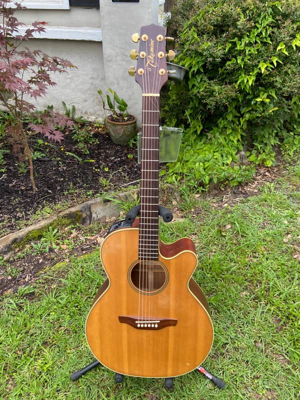 Takamine EG-40C - Natural image 1