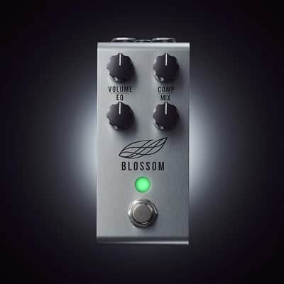 Jackson Audio Blossom