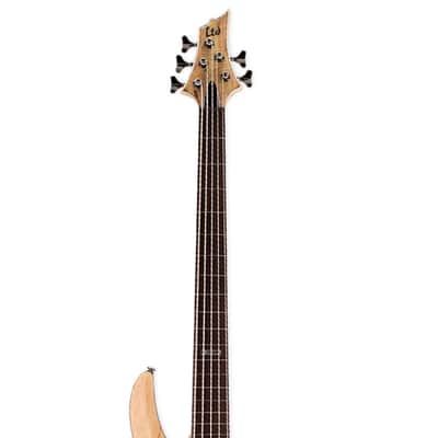 ESP LTD B-205SM Fretless 5-String Bass Guitar - Natural Satin image 4