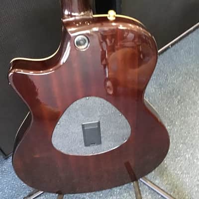 Taylor T5-C1 Thinline 5 Way Acoustic Electric w/ Hard Case image 7