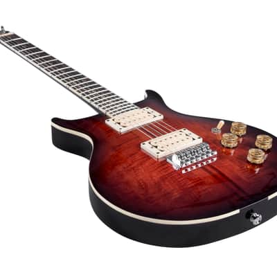 Washburn WING SERIES AMERICAN HAWK ’78 VINTAGE SUNBURST w/Case (B Stock) image 9