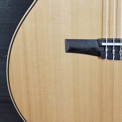 Taylor 814ce-N Nylon String Western Red Cedar Top Special Edition image 19
