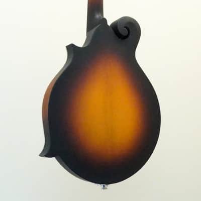 Eastman Mandolin MD315E-SB Sunburst Finish image 6