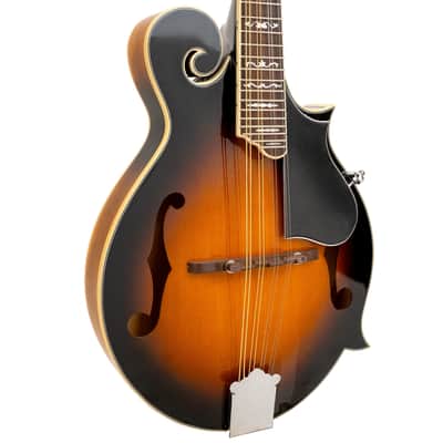 Gold Tone GM-35: F-Style Mandolin with Case image 14