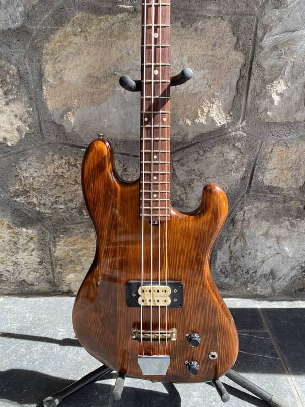 Vintage Eko B01 Bass - Made in Italy perfectly preserved image 1