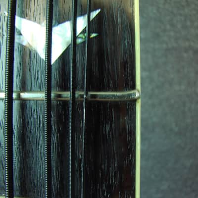 2003 Schecter Diamond Series C-5 5 String Bass C5 W/Bag image 9