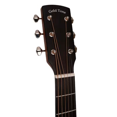 Gold Tone Festival Series GT-Dread: Acoustic/Electric All Solid Wood with Bag image 12