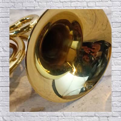 Jean Baptiste Beginner Sized Fench Horn image 5