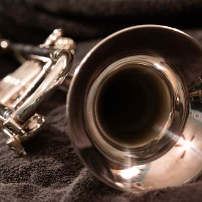PHIL DRISCOLL MIGHTY HORN Bb trumpet by HOLTON (Limited Edition) image 13