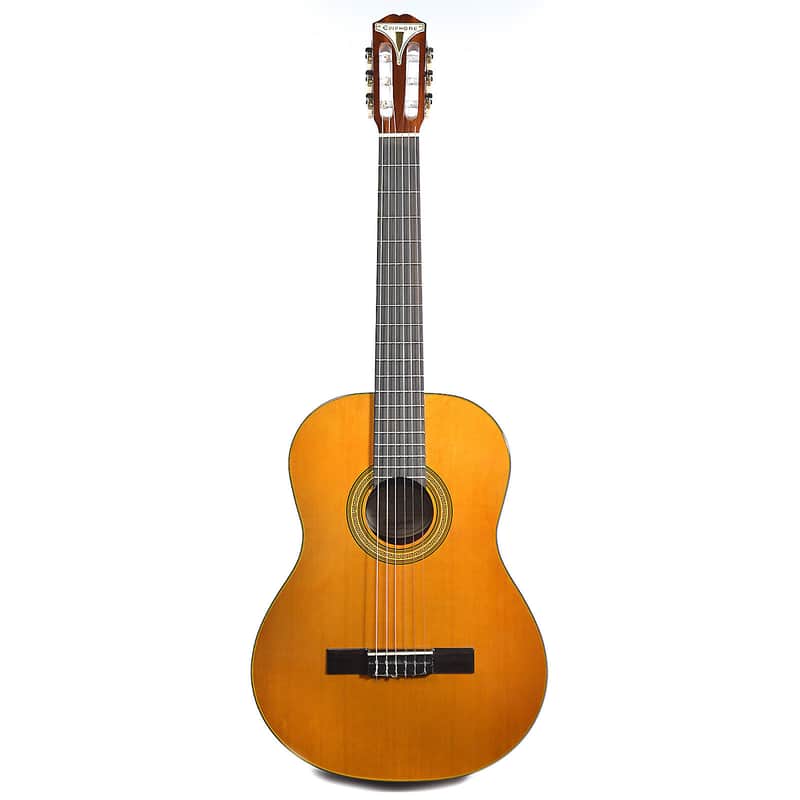 Epiphone PRO-1 Spanish Classic image 1