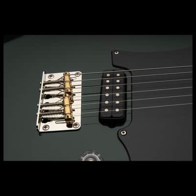PRS Myles Kennedy Signature Model Hunter Green with Gig Bag image 5
