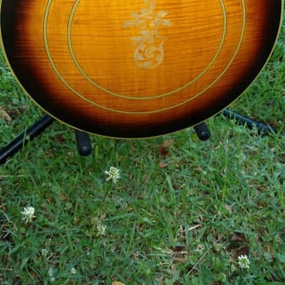 Samick Artist Series 5 string Banjo image 5