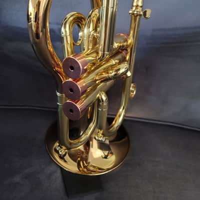 CarolBrass Pocket Flugelhorn / Taylor Phat Puppy 2024 - Polished / Lacquered image 18