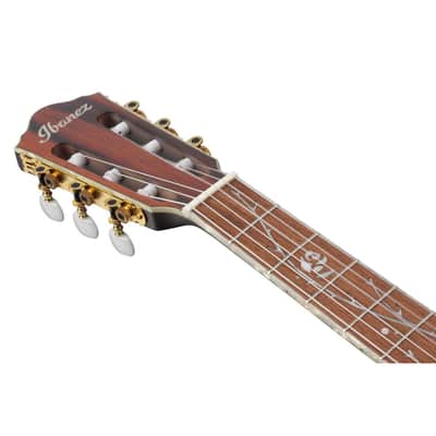 Ibanez Tim Henson Signature Series TOD10N Acoustic Electric Guitar, Transparent Black Flat image 8