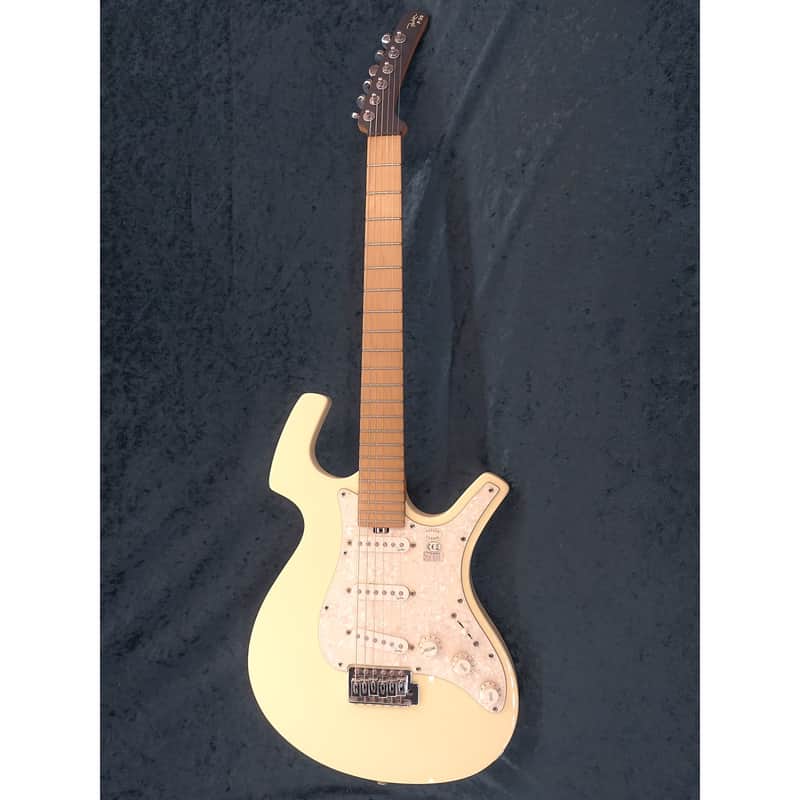 Parker パーカー P-30 Parker P-30 | Reverb