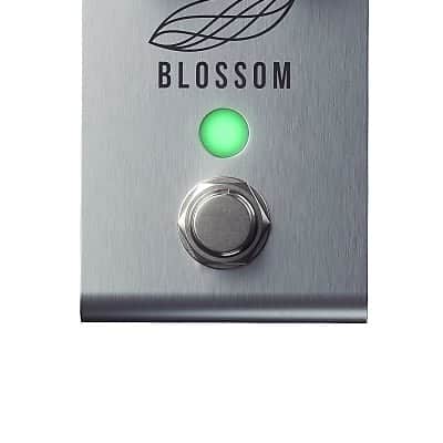 Jackson Audio Blossom Compressor - NEW,  "Authorized Dealer" image 4