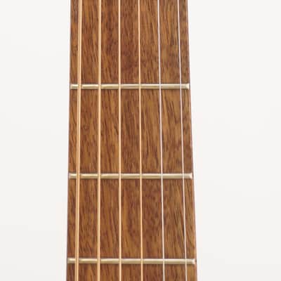 Breedlove Discovery S Concerto Edgeburst Europe-African Mahogany Acoustic Guitar image 3