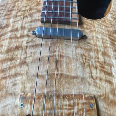 Billy Jazz EverT 2023 evertune tele image 2