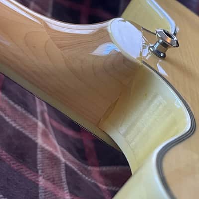 Agile AS820 12 String Semi-hollow Electric Guitar image 7