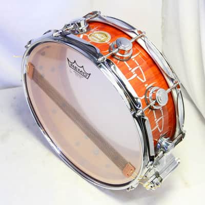 DW 2000s Collectors Maple Exotic 14x5 Collectors Maple Snare Drum [-] (05/18) imagen 9