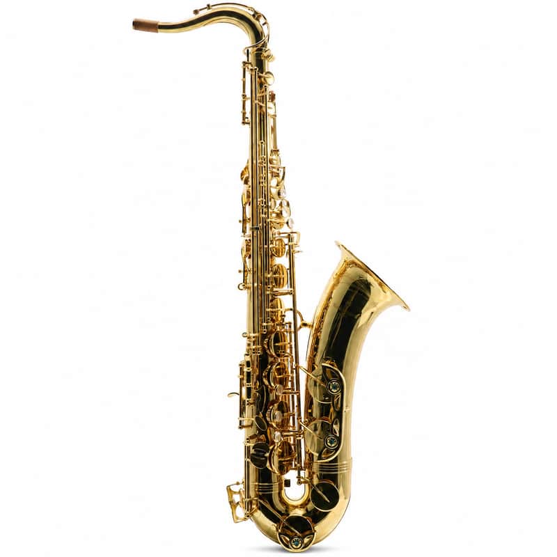 Yanagisawa TWO1