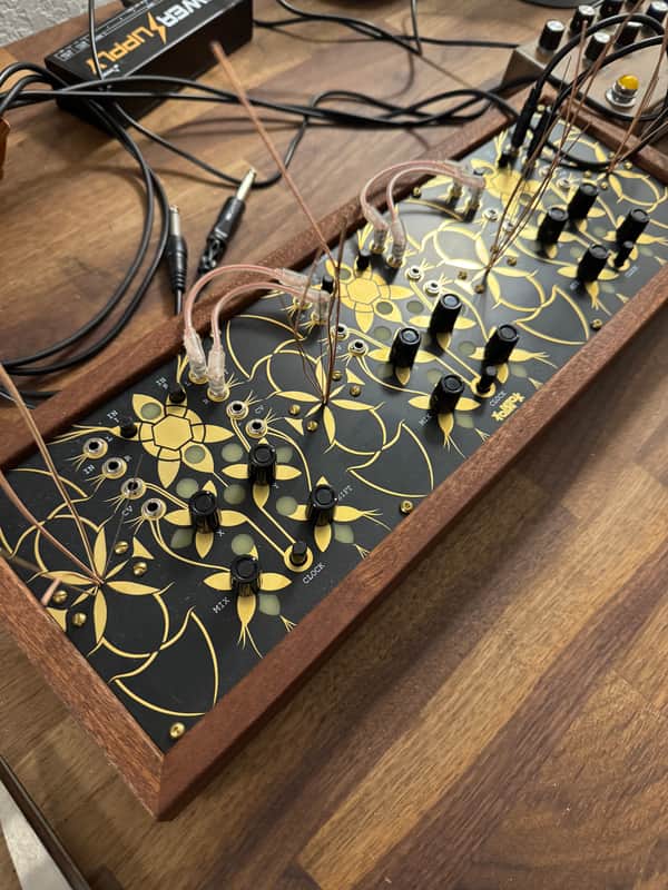 Folktek Resonant Garden Electro-Accoustic Insturment 2020 - Gold image 1