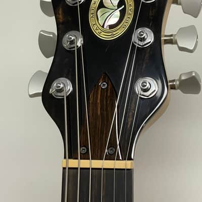 Pat Murray Guitar Co M1-CT-GT 2009 image 5