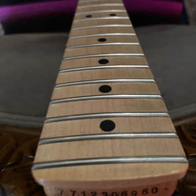 Fender MIM Maple player Stratocaster neck 2020 image 11