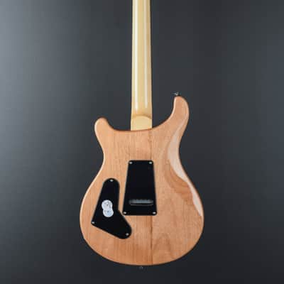 Paul Reed Smith SE Custom 24 '22 image 5