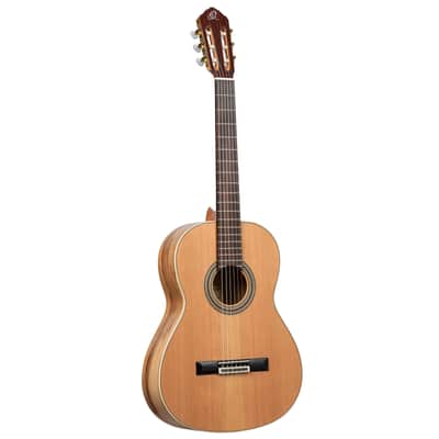Ortega R20GSNRG Traditional Series Solid Cedar Top Mahogany Neck Nylon 6-String Classical Acoustic Guitar w/Gig Bag image 2