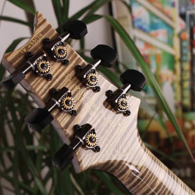 PRS RARE 2016 Private Stock DGT in Frostbite Fade w/Quilt Maple Top, Stained Quilt Maple Fretboard w/Ebony Binding, Flame Maple Neck, Swamp Ash Back with Matching Backplates, Black PRS Tremolo + Phase III Locking Tuners & MOP w/Paua Outline Bird Inlays image 14
