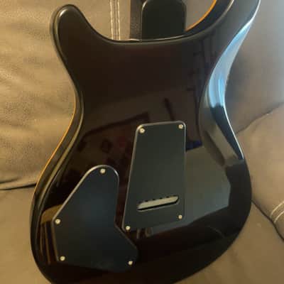 PRS SE DGT David Grissom Tremolo Signature 2023 - Present - McCarty Tobacco Sunburst image 5