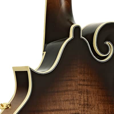 Ortega RMFE100AVO Acoustic-Electric F-Model Mandolin (c.2020) image 10