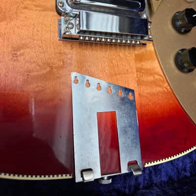 Rickenbacker 660/12TP Tom Petty Signature 1991 - 1997 - Fireglo image 5
