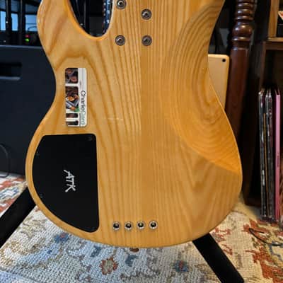 Ibanez ATK310 image 4