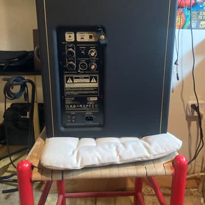 Positive Grid Spark Cab Amplifier image 2