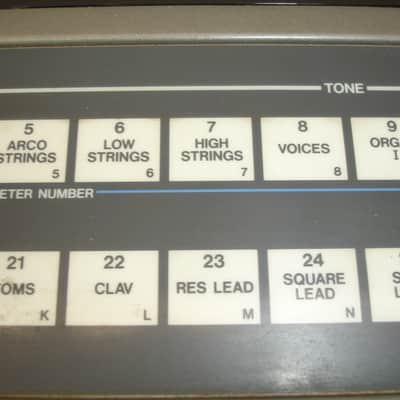Roland JX-8P 61-Key Polyphonic Synthesizer Keyboard & PG-800 Programmer image 11